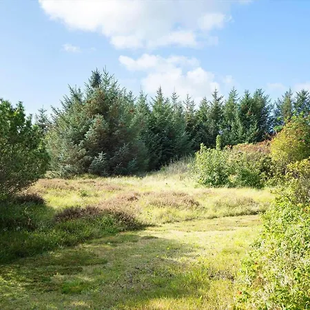 Vakantiehuis 1099-ringkobing-p-snejkers-vej-55 *